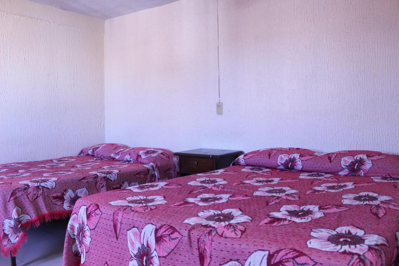 Hotel Plaza Aleman León Kültér fotó